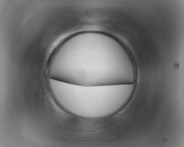 X0000114021414200910021005