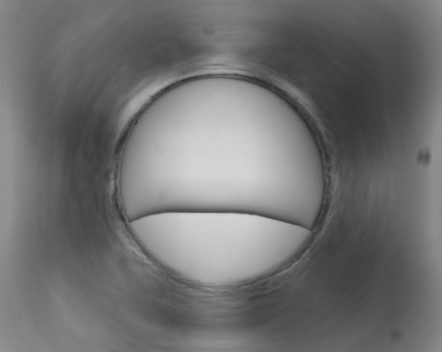 X0000114021415200910021005