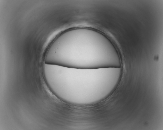 X0000114021416200910021005