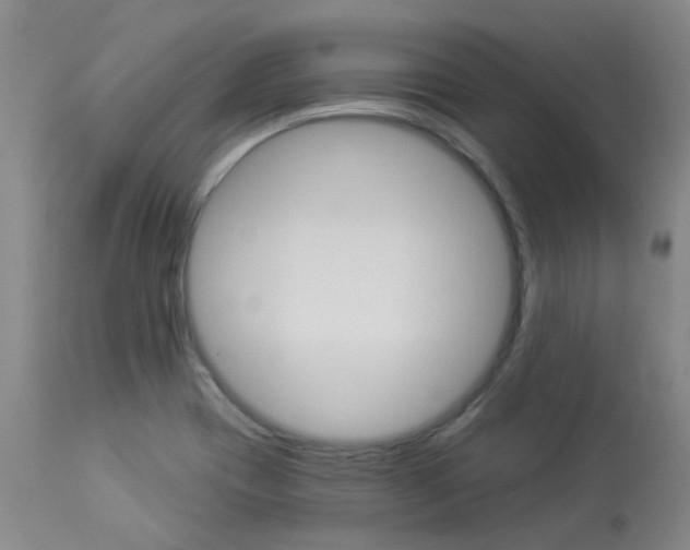 X0000114021417200910021005