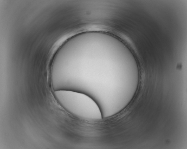 X0000114021419200910021006
