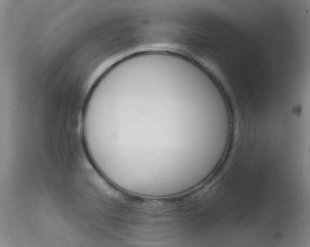 X0000114021420200910021006