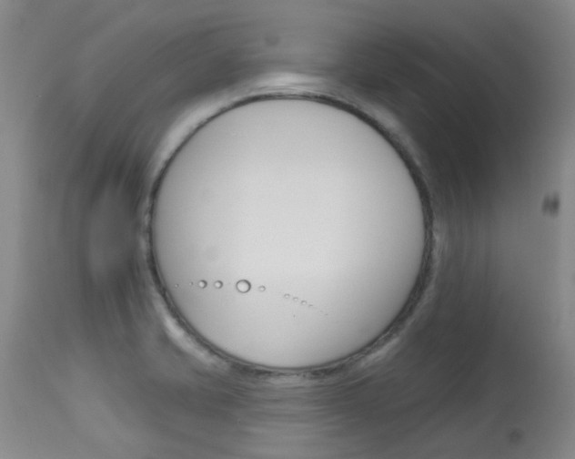 X0000114021421200910021006