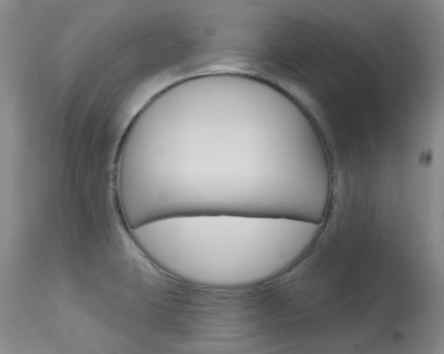 X0000114021423200910021006