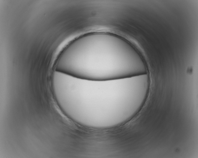 X0000114021424200910021006