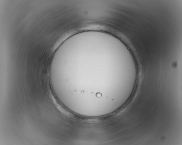X0000114021425200910021006
