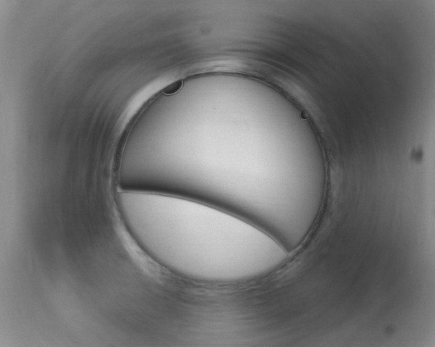 X0000114021426200910021006