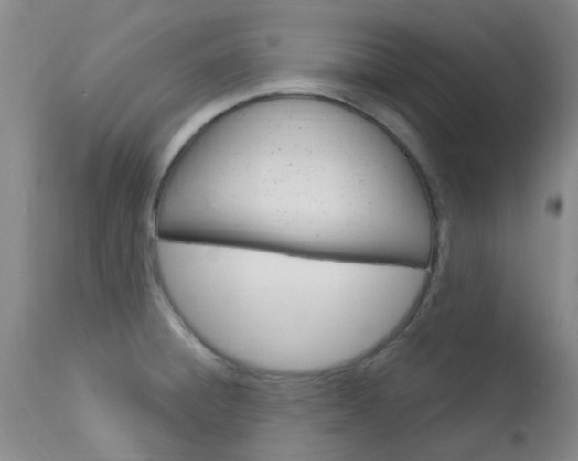 X0000114021428200910021006