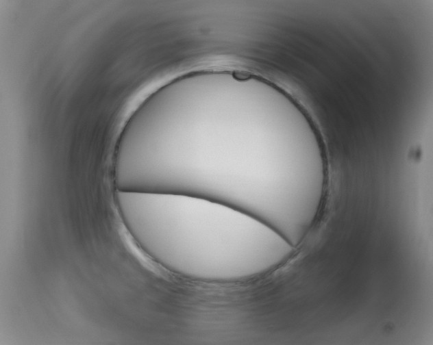 X0000114021429200910021006