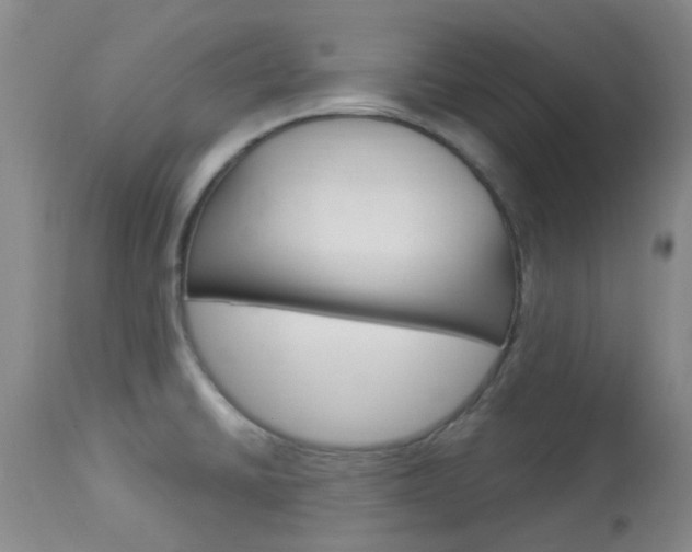 X0000114021430200910021006