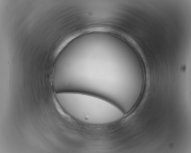 X0000114021433200910021006