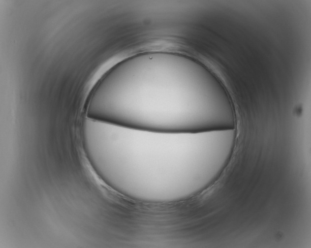 X0000114021434200910021006