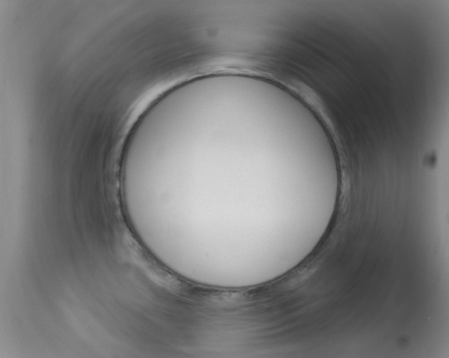 X0000114021435200910021006
