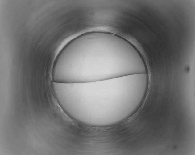 X0000114021436200910021006