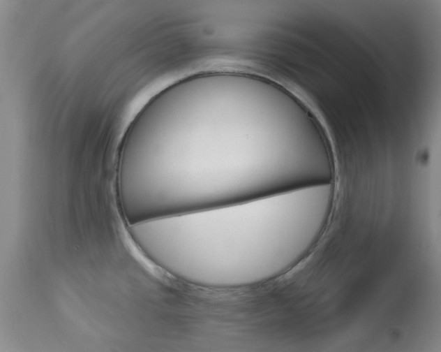 X0000114021437200910021006