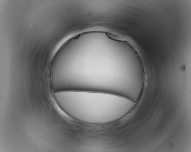 X0000114021438200910021006