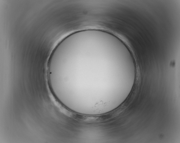 X0000114021439200910021006