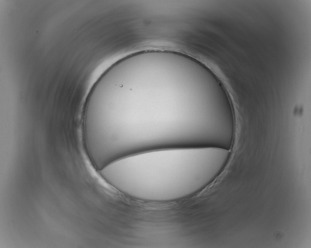 X0000114021440200910021006