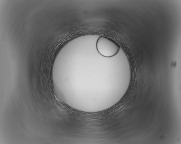 X0000114021441200910021005