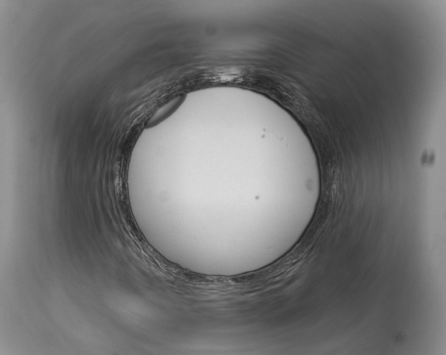 X0000114021442200910021005