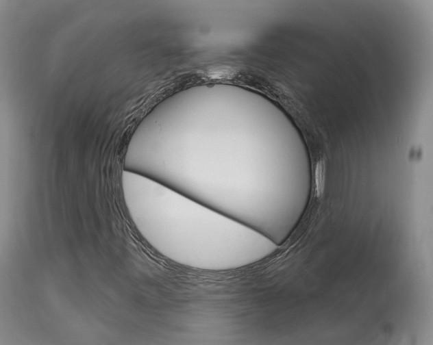X0000114021443200910021005