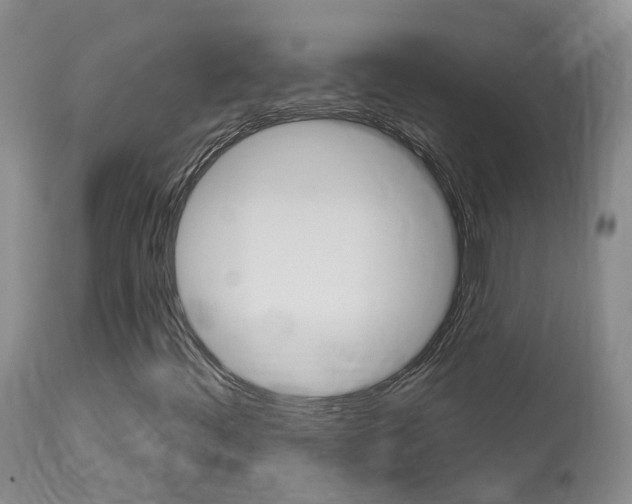 X0000114021444200910021005