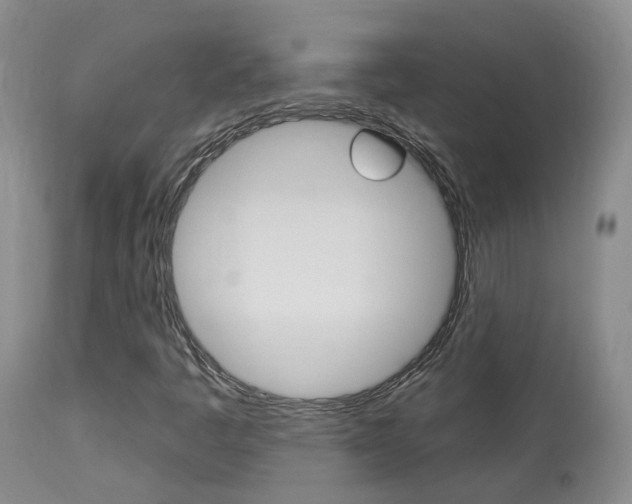 X0000114021445200910021005