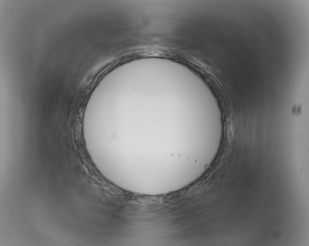 X0000114021446200910021005