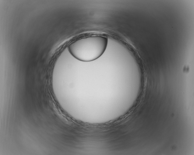 X0000114021448200910021005