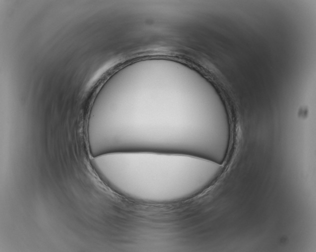 X0000114021450200910021005