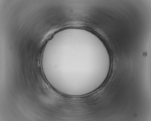 X0000114021451200910021005