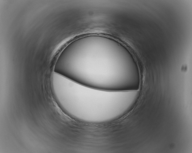 X0000114021452200910021005