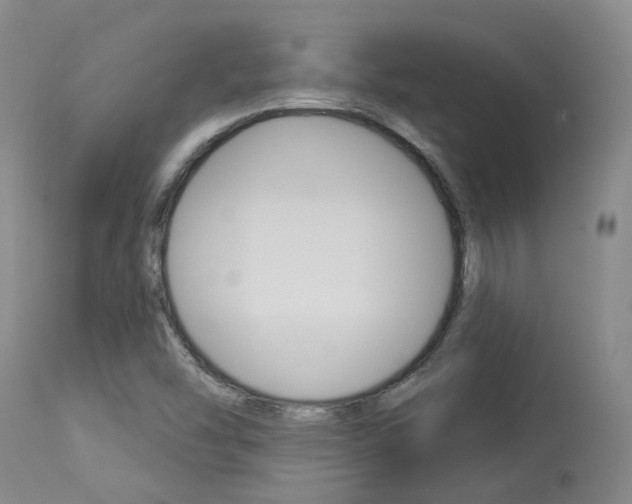 X0000114021454200910021005