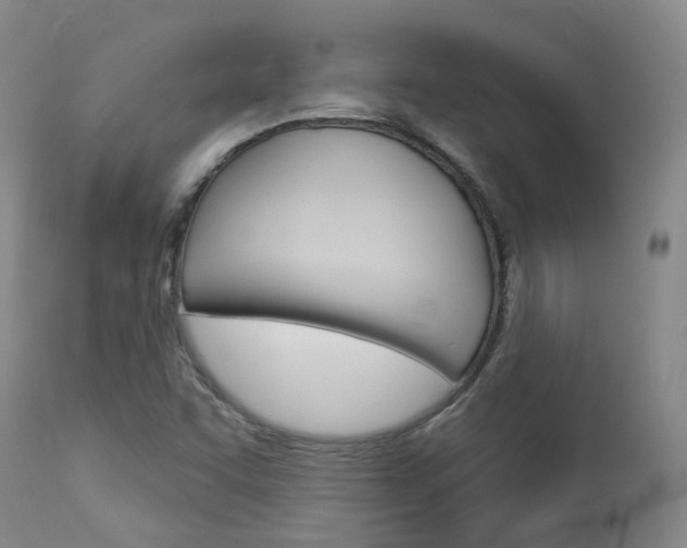 X0000114021455200910021005