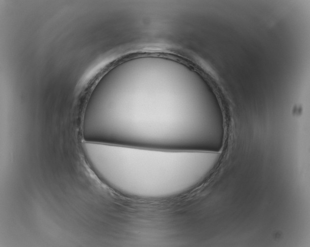 X0000114021456200910021005