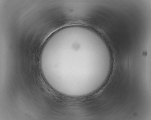 X0000114021457200910021005