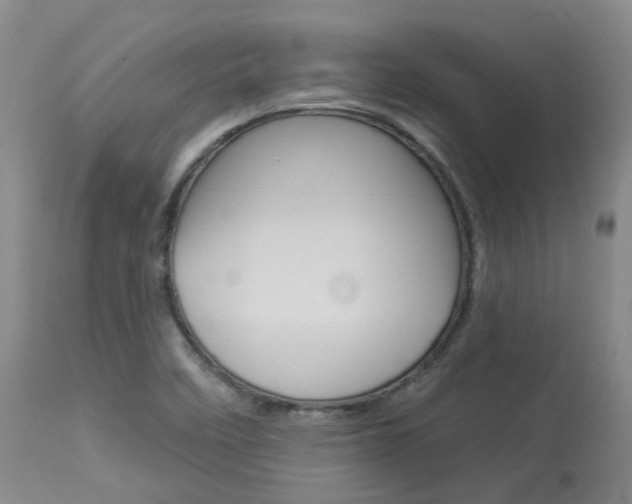 X0000114021458200910021005