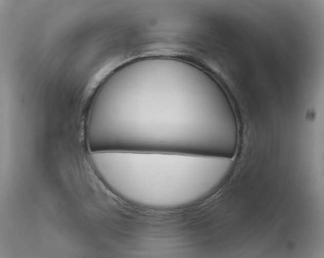X0000114021459200910021005