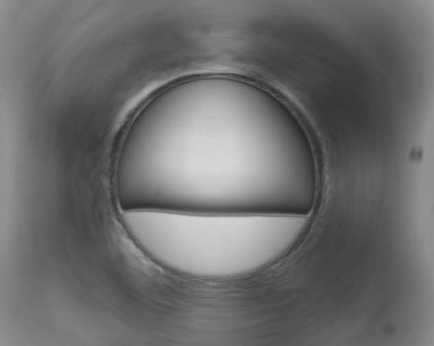 X0000114021460200910021005