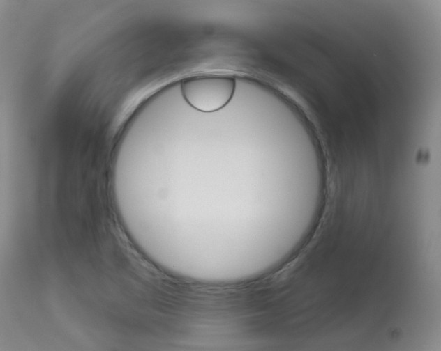 X0000114021461200910021005