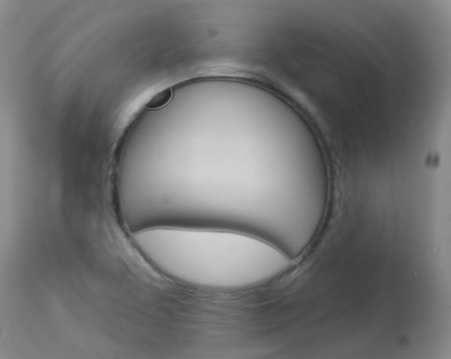 X0000114021463200910021005