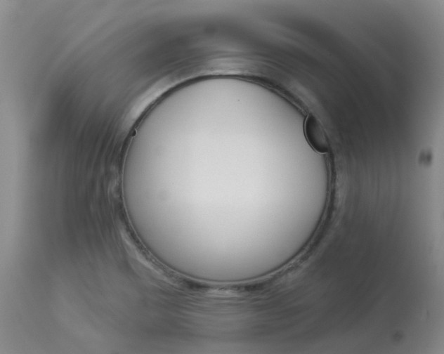 X0000114021465200910021005