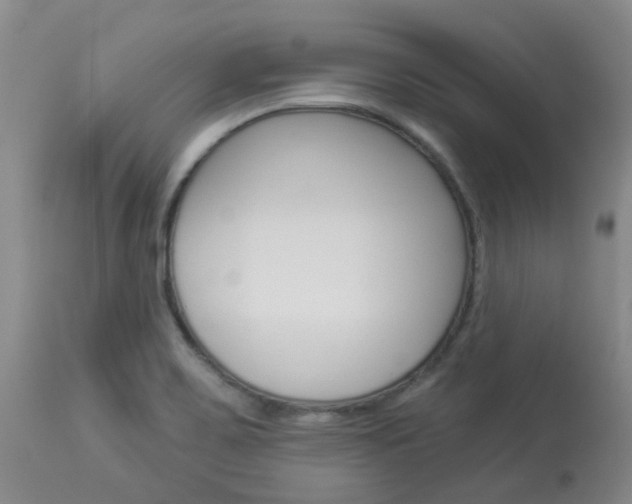 X0000114021467200910021005