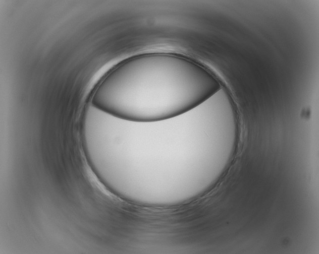X0000114021468200910021005