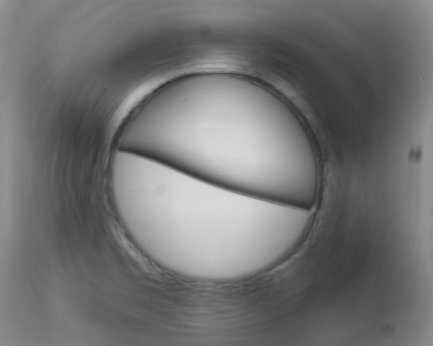 X0000114021469200910021005