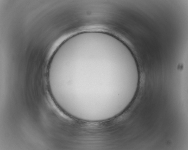 X0000114021470200910021005