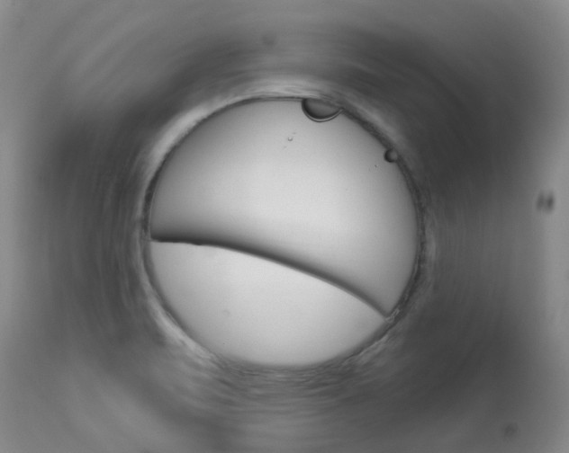 X0000114021471200910021005