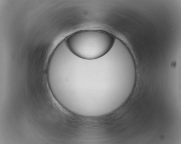 X0000114021472200910021005
