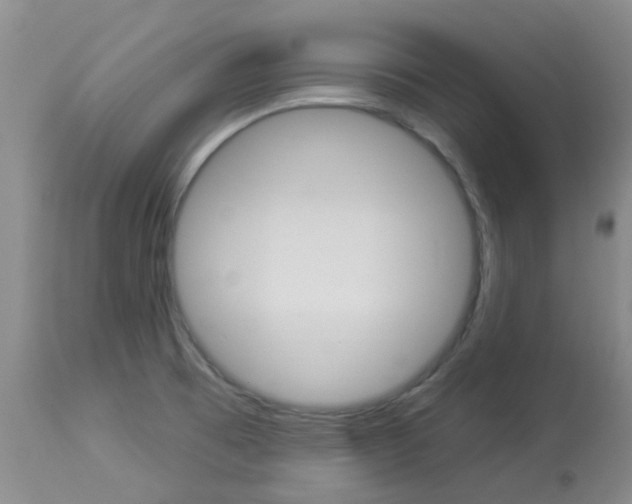 X0000114021473200910021005