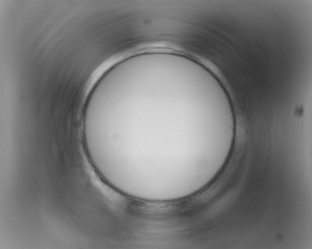 X0000114021474200910021005